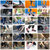 纽巴伦缤纷校园系列男鞋女鞋休闲鞋运动鞋跑步鞋(蓝白灰 44)第5张高清大图