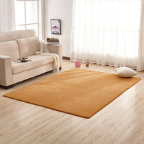 珊瑚绒图案纯色地毯适合客厅卧室床边(珊瑚绒香槟色 80cmx160cm)