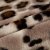美帜家纺毛毯盖毯优雅活性印花貂绒家居毯 经典豹纹(经典豹纹)第5张高清大图