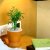【花清枫】袖珍椰子 增加空气湿度 桌面水培迷你植物 绿植(橙斗款)第3张高清大图
