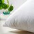 艾居乐 保健枕 枕芯 枕头 护颈枕 纤维枕 亏本促销 特价包邮第2张高清大图
